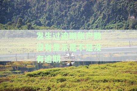 发生过逾期账户数没有显示是不是没有逾期-发生过逾期的账户数没有