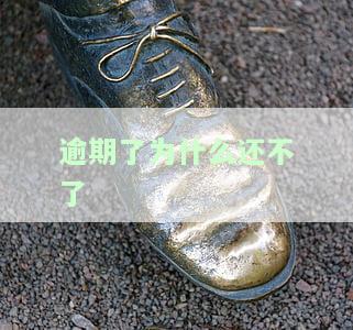 逾期怎么还不了，信用卡逾期未还款，应该如何解决？