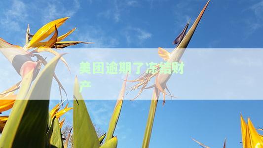 美团逾期了冻结财产怎么办，美团逾期后，如何应对财产被冻结的情况？