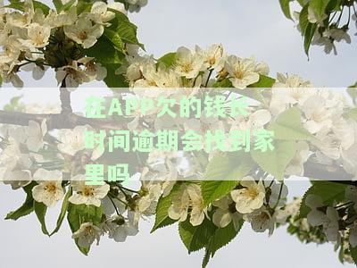 在欠钱长时间逾期，会找家里吗？安全吗？