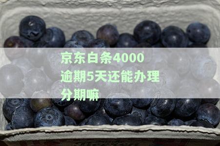 欠400多元逾期了，逾期400多元，欠需要尽快还款