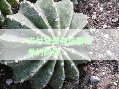 支付宝上的网贷逾期记录保存期限及处理方法