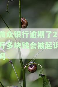 微众银行逾期200天会产生什么不良影响？