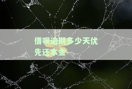 借呗逾期多少天优先还本金