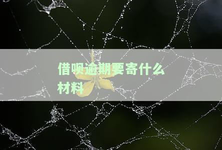 借呗逾期需要寄哪些材料给家人？