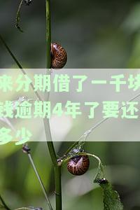 来分期欠一千多块钱两年没还了会上征信吗，来分期欠款未还两年，是否会影响个人征信记录？