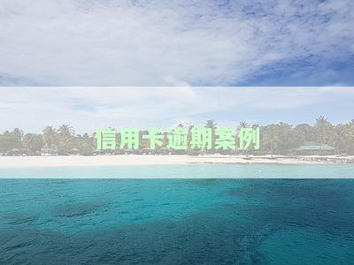 信用卡逾期案例最新情况全面解析与查询