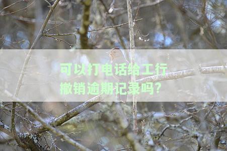 可以打电话给工行撤销逾期记录吗?-可以打电话给工行撤销逾期记录吗
