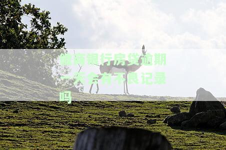 徽商银行房贷逾期一天会有不良记录吗
