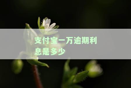 支付宝1万逾期一个月利息如何计算？