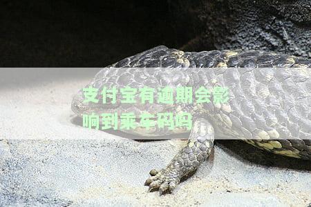支付宝有逾期会影响到乘车码吗-支付宝有逾期会影响到乘车码吗怎么办