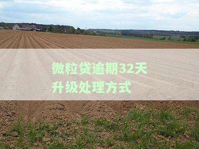 微粒贷逾期31天的后果及处理方法