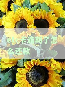 etc卡逾期了怎么办，如何处理etc卡逾期问题？