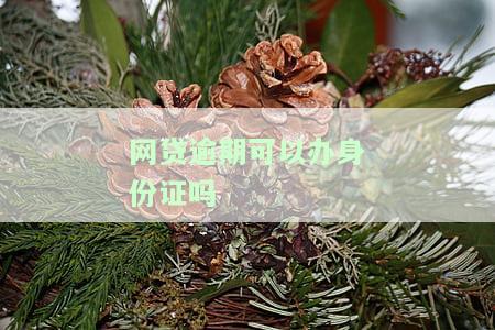 网贷逾期是否影响办理身份证？