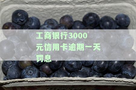 工商银行3000元信用卡逾期一天罚息-工商银行信用卡3000逾期一年违约金太高