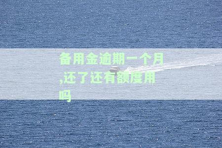 备用金逾期一个月,还了还有额度用吗-备用金逾期一个月,还了还有额度用吗怎么办