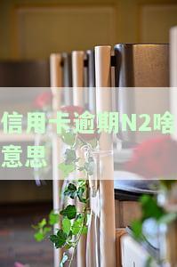 2020年关于信用卡逾期最新标准通知：详细解读与规定