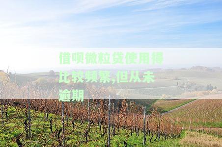 借呗微粒贷使用得比较频繁,但从未逾期