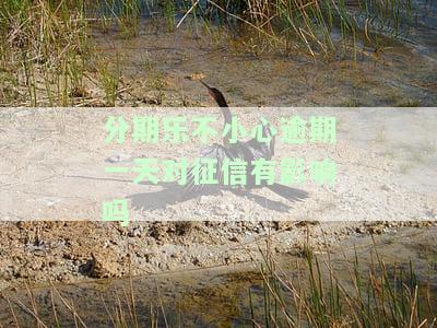 分期乐逾期1天对信用有影响吗？最晚可拖多久？逾期一天如何处理？