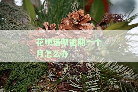 花呗借呗逾期一个月怎么办