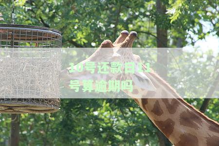 10号还款日11号算逾期吗怎么算，10号还款日，11号还款算逾期吗？详细解析还款计算方法