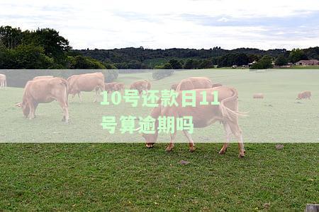 10号还款日11号算逾期吗