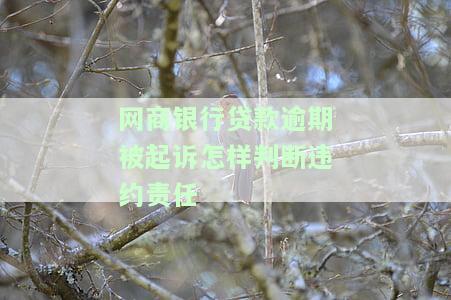 网商银行贷款逾期被起诉怎样判断违约责任-网商银行贷款逾期被起诉怎样判断违约责任