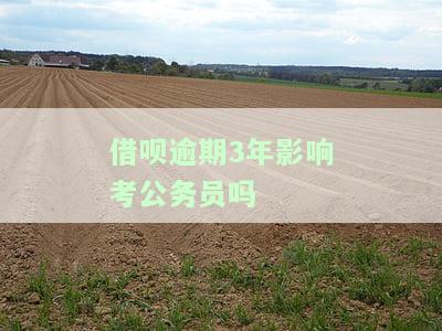 借呗偶尔逾期对公务员政审有影响吗，借呗逾期会对公务员政审产生影响吗？