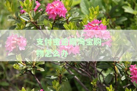支付宝逾期淘宝买东西会联系收货人吗，支付宝逾期后，淘宝购物是否会影响收货人的联系方式？