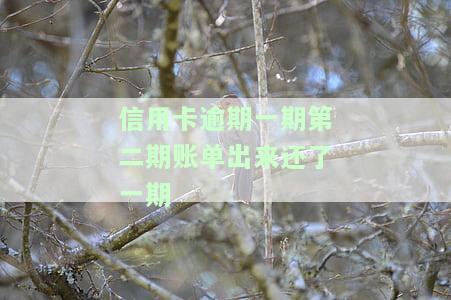 信用卡逾期一期第二期账单出来还了一期-信用卡逾期一期第二期账单出来还了一期,被限制