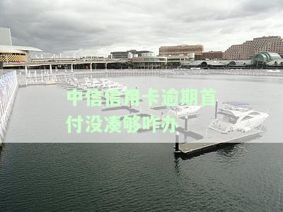 中信逾期后需先还一半才能办分期还款或付款