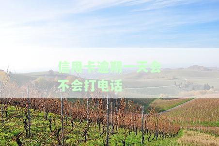 2020年信用卡逾期一天的影响及利息计算