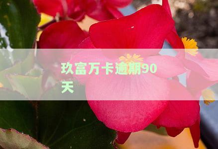 玖富万卡逾期90天怎么办，玖富万卡逾期90天：如何解决？