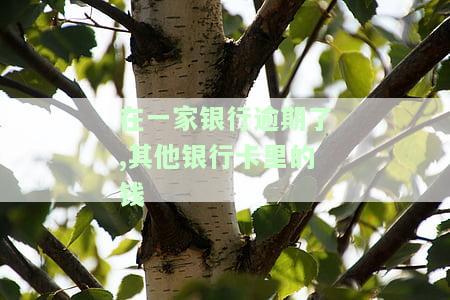 在一家银行逾期后，如何处理其他银行卡中的资金？