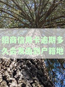 招商逾期多久会电话联系本人？协商解决时间是多久？请咨询客服