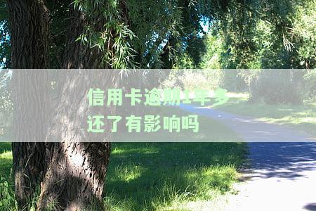 行用卡逾期一年多了还是还不起怎么办，信用卡逾期一年多，无法偿还，应该怎么办？