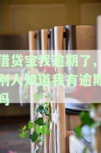 借贷宝我逾期了,别人知道我有逾期吗怎么办，如何防止借贷宝逾期被他人知晓？