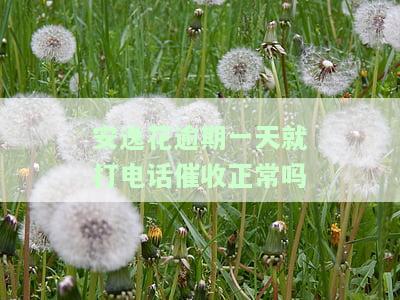 安逸花逾期一天对以后贷款有影响吗，安逸花逾期一天会否影响后续的贷款申请？