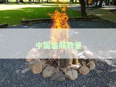 中国目前逾期人数，揭示中国当前的逾期人数状况