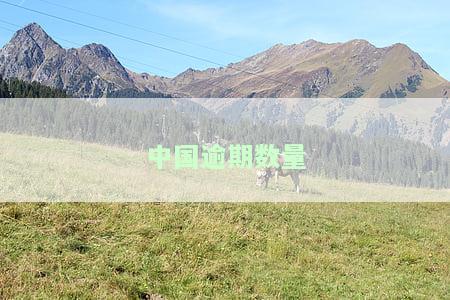 中国逾期人员有多少，揭秘：中国逾期人员数量惊人，你是否也在其中？