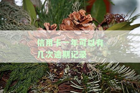 有没有信用卡逾期一年以上的，逾期超过一年，你的信用卡状况如何？