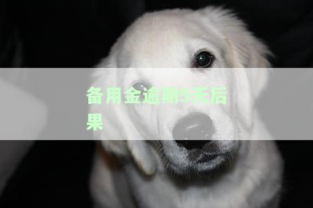 备用金逾期5天后果-备用金逾期5天后果多久恢复使用