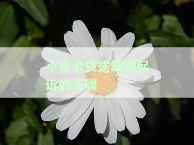 小赢卡贷逾期还不上，对方要起诉报案，后果是什么？会不会被罚款？