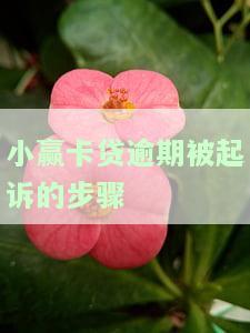小赢卡贷说起诉我是真的吗，小赢卡贷是否真的对您提起诉讼？真相调查