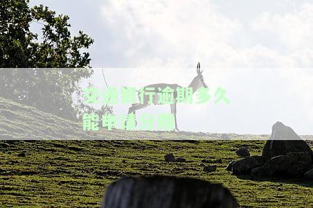 交通银行逾期多久能申请分期付款，交通银行信用卡逾期后，如何申请分期付款？