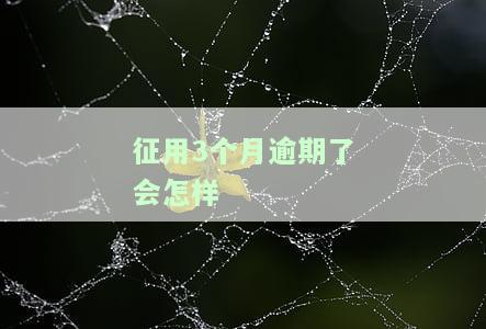 征用3个月逾期了会怎样处罚，征用3个月逾期未履行，将面临何种处罚？