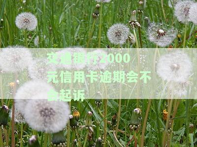 交通银行2000元信用卡逾期会不会起诉