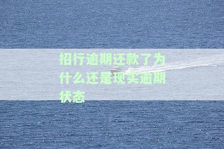 招行逾期还款了为什么还是现实逾期状态-招行逾期还款了为什么还是现实逾期状态呢