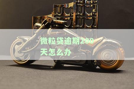 微粒贷逾期200天怎么办