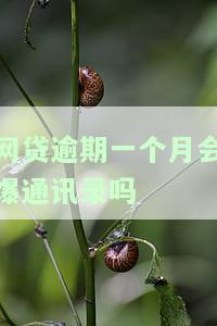 网贷逾期一个月会爆通讯录吗会怎么样，网贷逾期一个月是否会导致爆通讯录？后果严重性解析